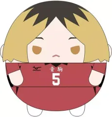 2025年最新】孤爪研磨ふわコロりんの人気アイテム - メルカリ