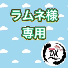 ファッション Dkタングステン タイラバヘッドshop メルカリShops - ルアー・フライ
