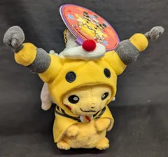 2025年最新】メガデンリュウのポンチョを着たピカチュウの人気