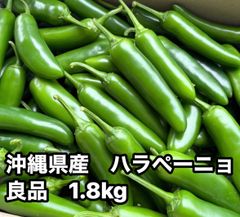 特別栽培】沖縄県産良品 激辛青唐辛子ホットパラソル1kg⭐️12時間以内