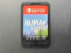 ニンテンドースイッチ ヒュｰマン フォｰル フラット【箱、取説無し】
