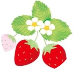 みさをファーム