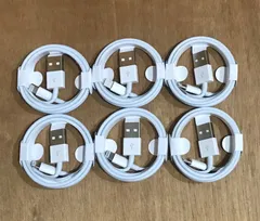 iPhone ライトニングケーブル　USB 1m 携帯　充電器　ケーブル　6本