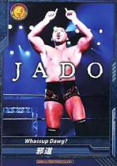 【中古】キング オブ プロレスリング BT01-044[C]：[コード保証無し]邪道