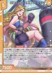 【中古】ゼクス P41-024[PR]：日頃のストレス発散 フィエリテ