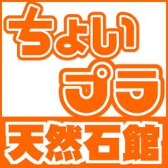 ヘリアンサスの通販 ティンシャ【ひまわり・サンフラワー・ヘリアンサス 】※直径約５ｃｍ チベットシンバル チベタンシンバル ヒマワリ sunflower ７メタル セブンメタル 浄化 グッズ アイテム ヨガグッズ ヨガ