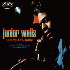 ジュニア・ウェルズ：JUNIOR WELLS CD 9枚セット