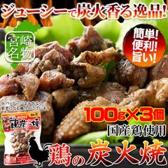 日向屋 鶏炭火焼 100g 3袋セット 日向屋オリジナル塩胡椒 にんにく ローストオニオン で味付け炭火焼 メール便