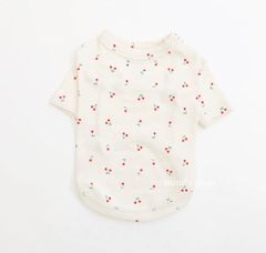 専用ページ