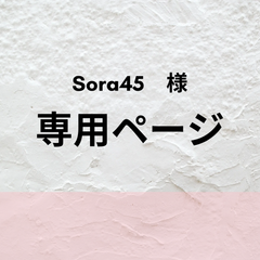 【Sora45様専用】フォニックス前後おまとめセット