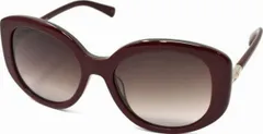 サングラス ロンシャン Longchamp 32432QLO601S605のサムネイル