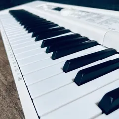 2026年最新】LK-202 CASIOの人気アイテム - メルカリ