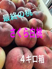 最後の桃🍑山梨県産　桃(さくら白桃)  B級品4キロ箱