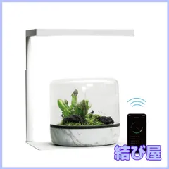 2026年最新】Onf flat nanoの人気アイテム - メルカリ