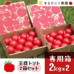 まるかじり農園の自信作　王様トマト　2kg箱×2