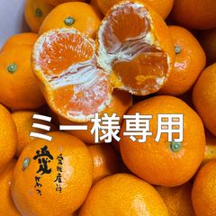 ミー様専用　　愛媛産温室ハウスみかん　赤秀（贈答）2kgクール便