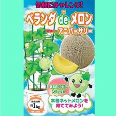 野菜種子　ベランダ　de メロン　100粒