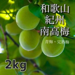 【家庭用】南高梅2kg 大粒 青梅/完熟梅  和歌山産 紀州南高梅