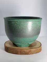 2025年最新】伝市鉢の人気アイテム - メルカリ