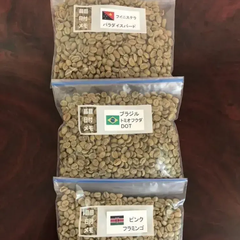 コーヒー生豆　大陸別　３種　各２５０g