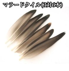 激安大特価！ 高品質！パートリッジ フライ コンプリート【チャートリュース】 フライマテリアル