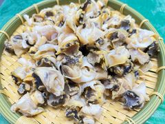 北海道産　ボイル　ツブ　つぶ貝　冷凍  1キロ