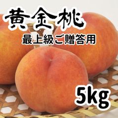 ８月下旬出荷予定　希少種　黄金桃　５キロ（１３玉前後）　最上級　ご贈答用