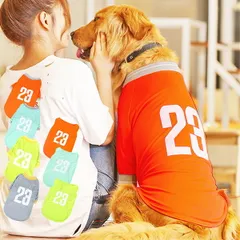 【在庫処分品】大型犬 服 クール 夏 冷感 サマーメッシュＴシャツ 暑さ 日差し 抜け毛対策 送料無料