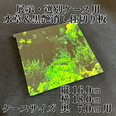 New仕切り板のみ(展示・選別ケース用)水草＆黒艶消し