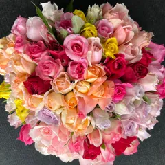 短め‼︎バラ 《切り花 生花 》おまかせMIX　20㎝100本　産地直送！鮮度抜群！　薔薇
