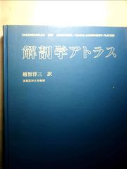 希少本】1974年出版 David Hamilton: Souvenirs - メルカリ