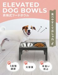 Item thumbnail for item 6bc28e79-e601-44b6-909e-f754f3e82e37