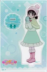 【中古】アクリルスタンド・アクリルパネル 猫屋敷まゆ(幼少期) 「わんだふるぷりきゅあ! ミニアクリルスタンド Vol.4」