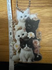 キュートな子猫達カルテット