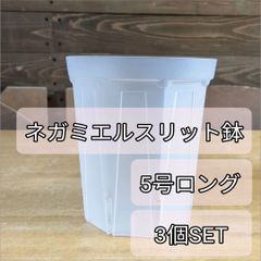 プラスチック透明鉢 小 120個 （給水量と根の状態が確認しやすい