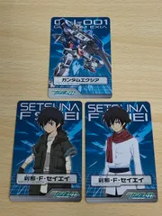 aca246 機動戦士ガンダム00　MS＆キャラクターセレクション　MISSION：001　[カードダス] 050[ノーマルカード]：刹那・F・セイエイ ガンダムエクシア 021 050 039