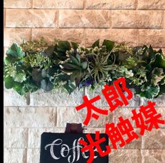 光触媒 人工観葉植物 ウォールグリーン フェイクグリーン 光触媒 人工観葉植物 ウォールグリーン フェイクグリーン