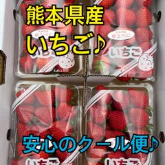 クール便発送♪　熊本県産　いちご　ゆうべに　恋みのり　秀品　4パック　1cs