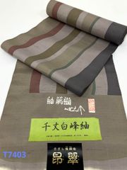 Item thumbnail for item 70a90da9-3784-4b33-89e2-79aa8e9ecfb1