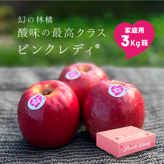 ピンクレディ 3kg 箱 B品 家庭用 キズあり 幻の林檎 減農薬 希少 りんご 長野 安曇野 信州 産地直送 「ピンクレディ3キロ箱家庭用B品」 7玉から16玉程度