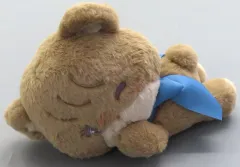 【中古】ぬいぐるみ ラテ おねんねBIGぬいぐるみ～スフレ＆ラテ～ 「mikko characters」