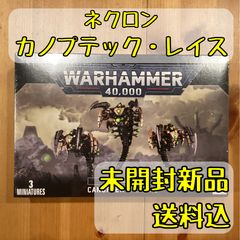 ウォーハンマー　ネクロン　カノプテック・レイス3体セット　塗装済み。ケース付き。 ウォーハンマー ネクロン カノプテック・レイス3体セット 塗装