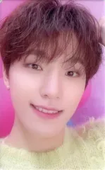 【中古】コレクションカード(男性) SEVENTEEN/DINO(ディノ)/背景ピンク/CD「JAPAN 1ST EP DREAM」SEVENTEEN Weverse Shop JAPAN特典クリアフォトカード