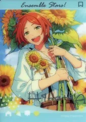 【中古】キャラカード 葵ひなた(向日葵の君/開花後) 「あんさんぶるスターズ! 夏日カード」 中国限定