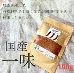 激辛 一味 とうがらし 100g 国産韓国唐辛子