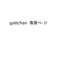 gattchan  専用ベ-ジ