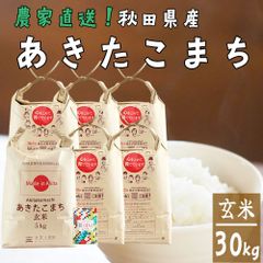 新米 あきたこまち 玄米 30kg(5kg×6袋) 米 お米 30キロ 秋田県産 令和7年産 古代米お試し袋付き