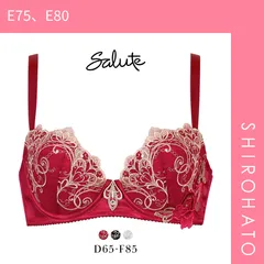 サルート70グループ　女優ブラ　D70 レッド ショーツ サルート ワコール 70 新作 セール 女優ブラ ブラジャー DEF