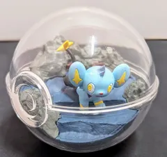 ポケットモンスター テラリウムコレクション8：商品案内 | 株式