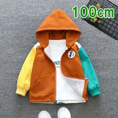 キッズ 恐竜 パーカー ジャケット 100cm 男女兼用 フード付 子供服 ウィンドブレーカー アウター カラフル 恐竜プリント